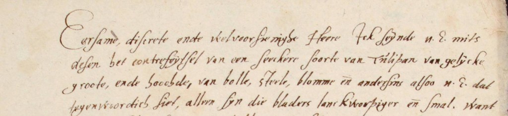 Tulpengekte - Johannes de Jonghe aan Clusius, 1596-05-14, Vul. 101 UBL